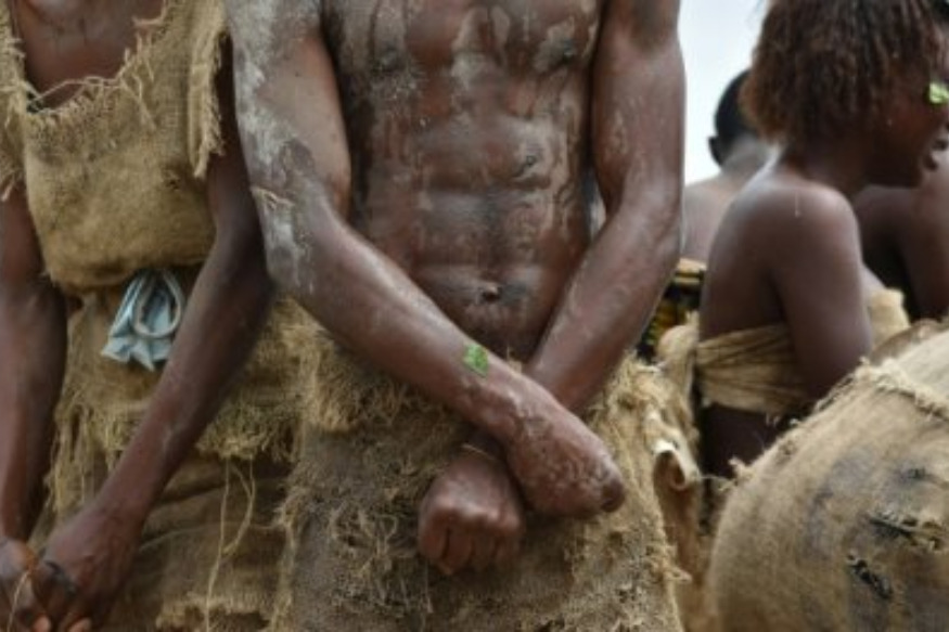 Une étude sur l'ADN révèle l'impact génétique de la traite des esclaves à l'époque coloniale